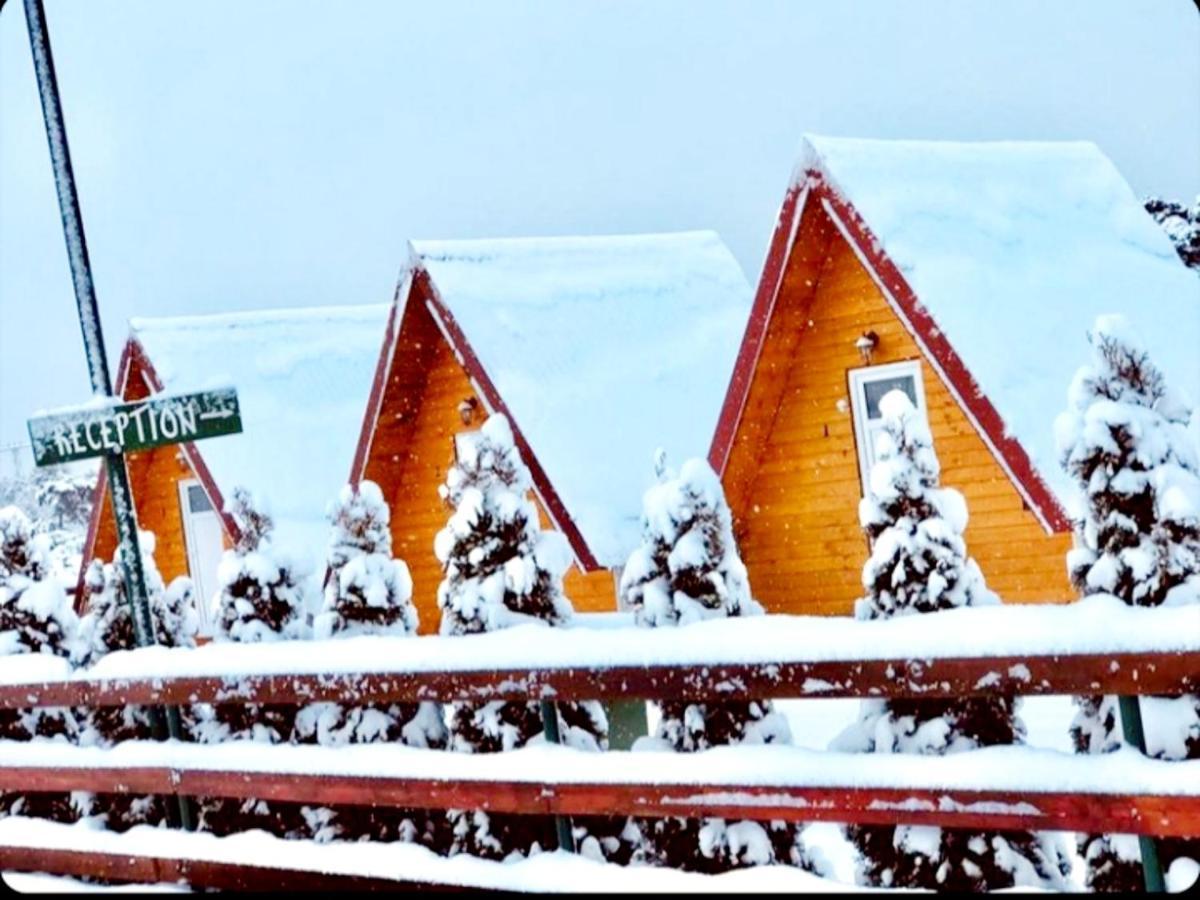 Cottage Borje Zabljak  Bagian luar foto
